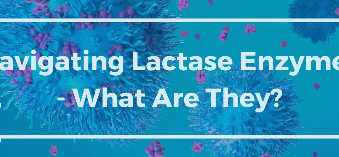 Navigating Lactase Enzymes - What Are They