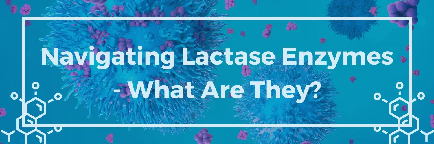 Navigating Lactase Enzymes - What Are They