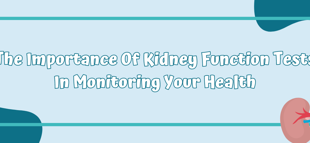 The Importance Of Kidney Function Tests