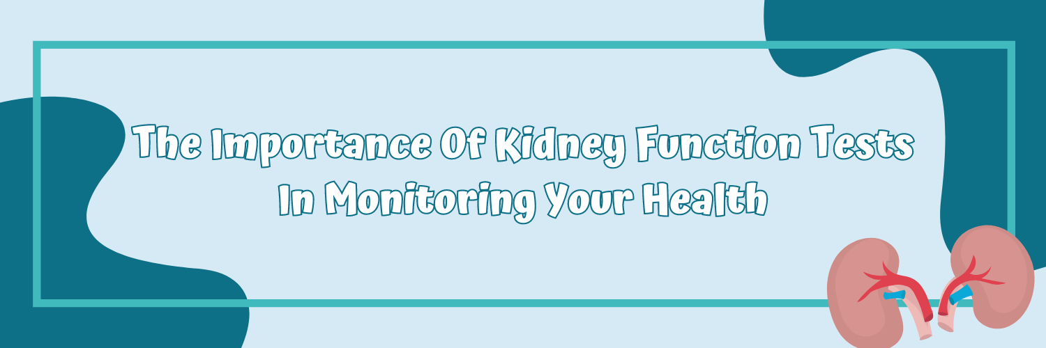 The Importance Of Kidney Function Tests