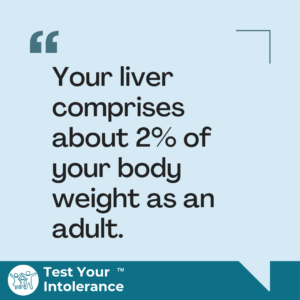 Your liver comprises about 2% of your body weight as an adult.